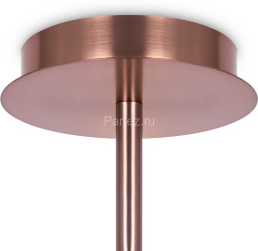 Потолочная люстра Maytoni MOD221PL-10G