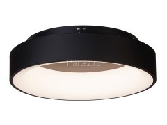 Потолочный светильник MyFar MR2193-1PL