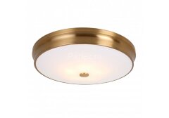 Потолочный светильник Favourite 2375-5C