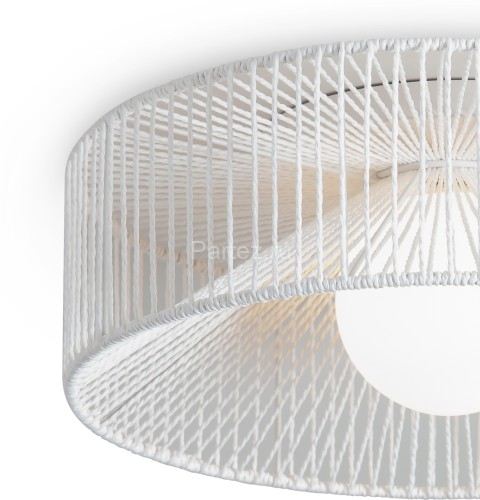 Потолочный светильник Freya FR5405CL-01W