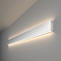 Настенный светильник Elektrostandard 101-100-40-103