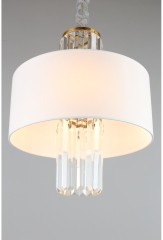 Подвесная люстра Aployt APL.841.13.04