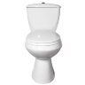 Унитаз-компакт Элисса Стандарт, нижний подвод, косой выпуск, с сиденьем, белый (43301130202)