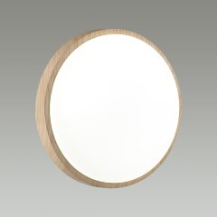 Настенно-потолочный светильник Sonex 7607/AL