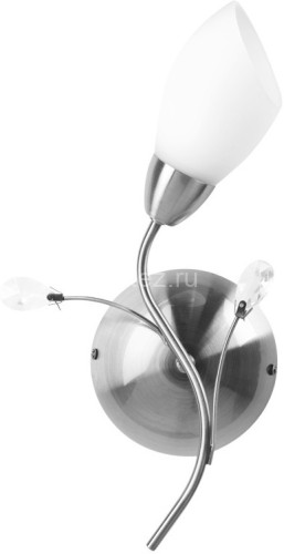 Бра MW-Light 356025201