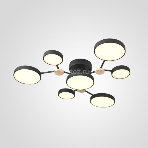 Потолочная люстра ImperiumLoft Gamma01