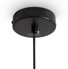 Подвесной светильник Freya FR5489PL-01BG