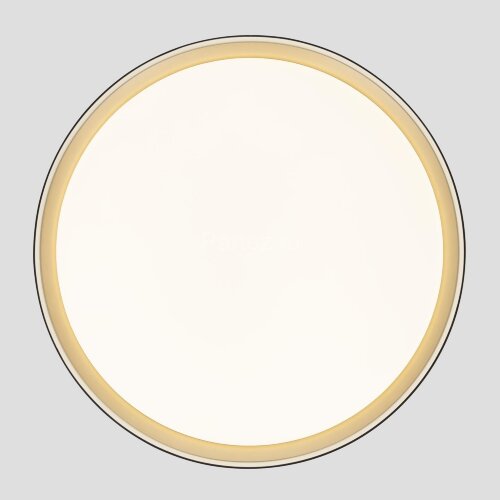 Потолочный светильник Citilux CL751451G