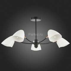 Потолочная люстра Evoluce SLE103602-05