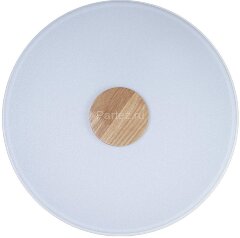 Потолочный светильник Loft It 10003/24 White