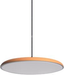 Подвесной светильник Loft It 10119 Orange