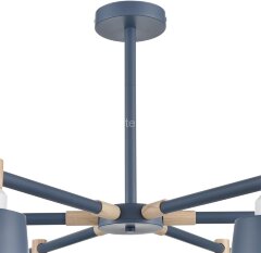 Потолочная люстра Lumion 8098/6C