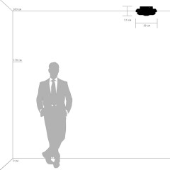 Потолочный светильник Lightstar 750071