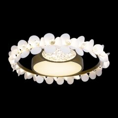 Потолочный светильник Loft It 10174