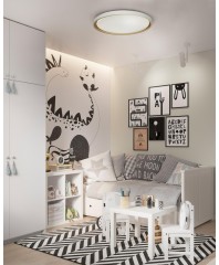 Настенно-потолочный светильник Sonex 7645/EL