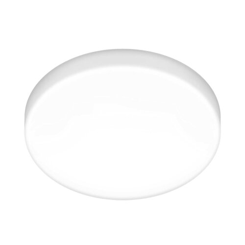 Потолочный светильник Elektrostandard DLR043