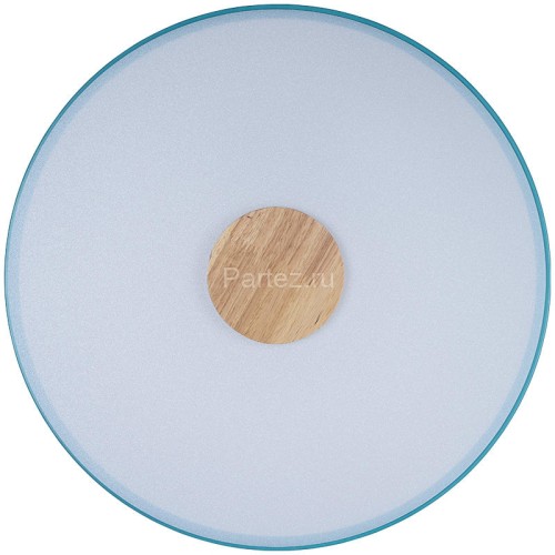 Потолочный светильник Loft It 10003/24 Blue