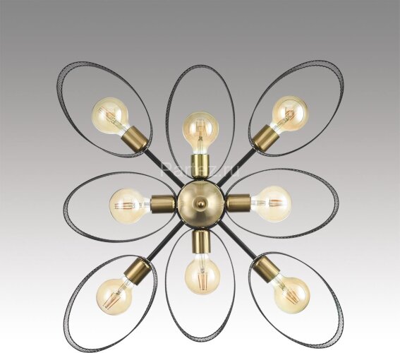 Потолочная люстра Lumion 8193/8C