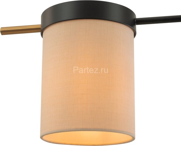 Потолочная люстра Freya FR5377CL-04B