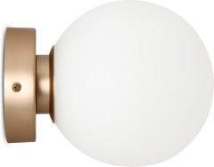 Настенно-потолочный светильник Maytoni MOD321WL-01G1