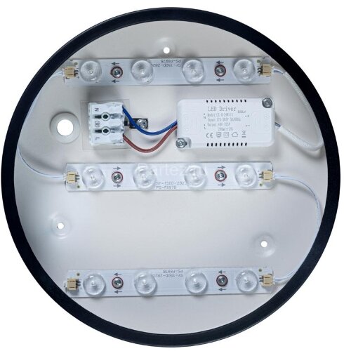 Потолочный светильник Loft It 10002/12 Black