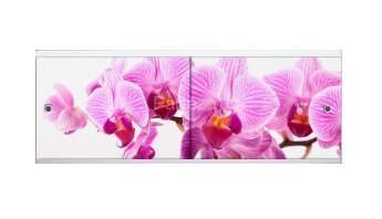 Экран для ванны Метакам "Ультра легкий" АРТ 148 Дикая Орхидея (CS00020535)