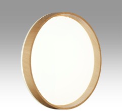 Настенно-потолочный светильник Sonex 7684/EL