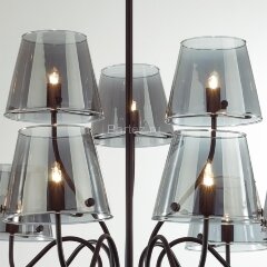 Потолочная люстра Lumion 6570/9C