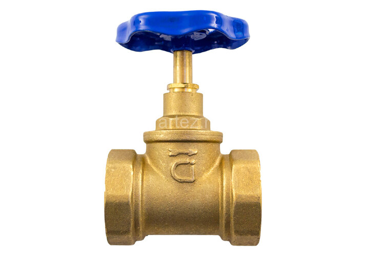 Клапан запорный 15Б3р D25 Ci