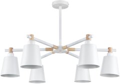 Потолочная люстра Lumion 8097/6C