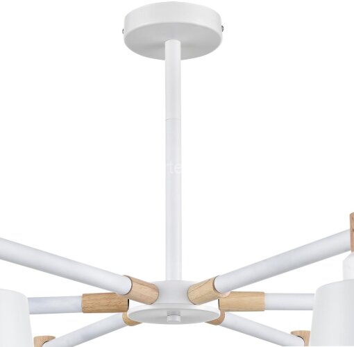 Потолочная люстра Lumion 8097/6C