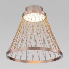 Потолочный светильник Eurosvet 40018/1 LED коричневый