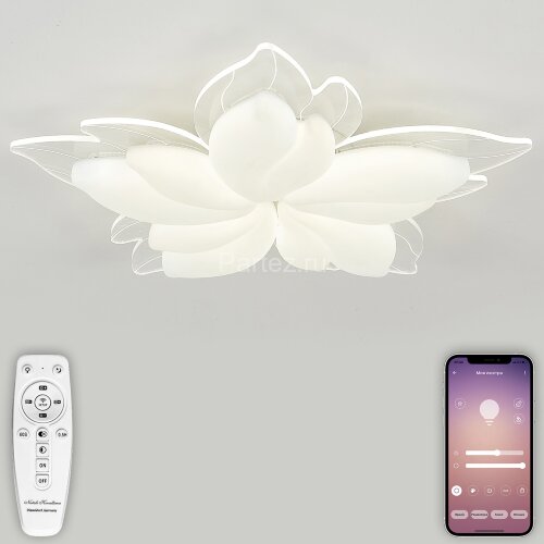 Потолочная люстра Natali Kovaltseva LED LAMPS 81118