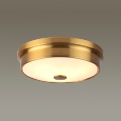 Настенно-потолочный светильник Odeon Light 4824/3C