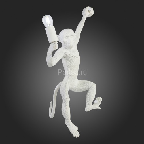 Бра Evoluce SLE115111-01