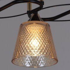 Потолочная люстра Reluce 06087-0.3-03 BK+FG