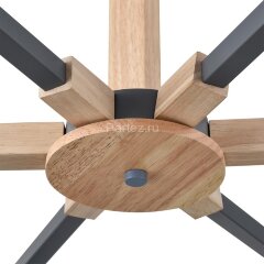 Потолочная люстра Lumion 8096/6C