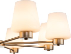 Подвесная люстра Indigo V000002