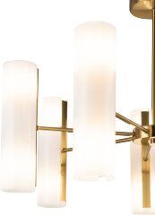 Потолочная люстра Freya FR5368CL-14BS