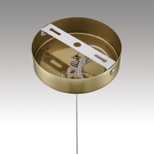 Подвесной светильник Lumion 8087/1A