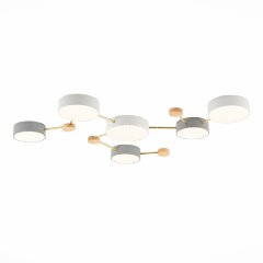 Потолочная люстра Evoluce SLE600102-06