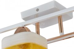 Потолочная люстра Arte Milano 322008/6 WH+FG