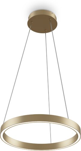 Подвесной светильник Maytoni MOD058PL-L22BSK