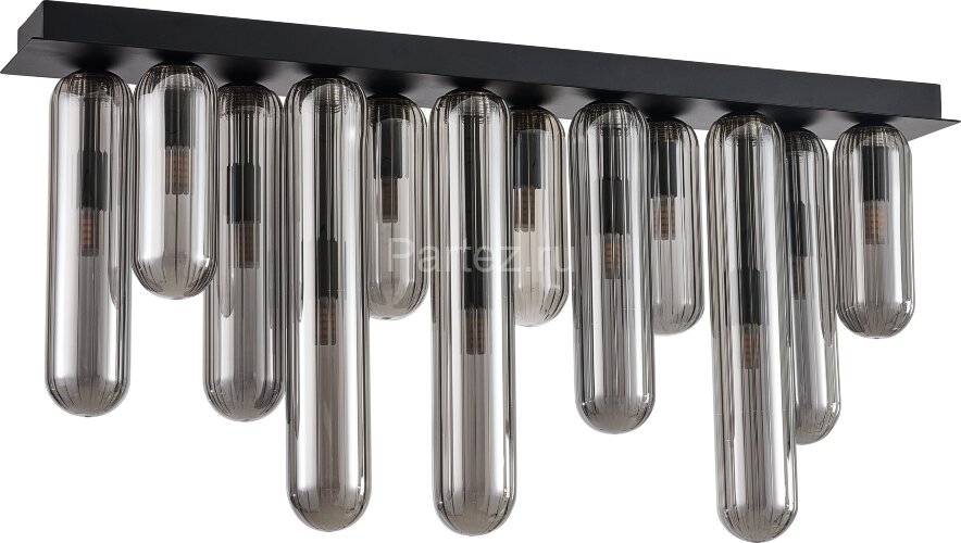 Потолочный светильник Favourite 4454-12P