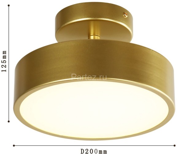 Потолочный светильник F-Promo 3059-2P