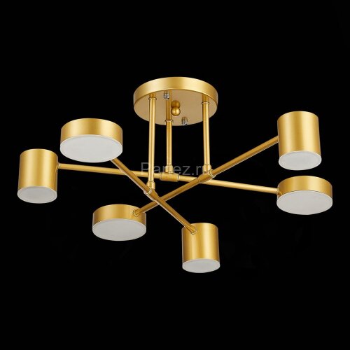 Потолочная люстра Evoluce SLE201022-06