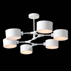 Потолочная люстра Evoluce SLE183502-06