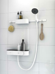 Крючок Hansgrohe WallStoris, Белый матовый (27914700)