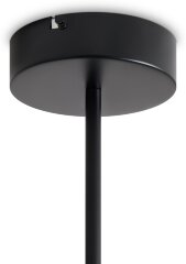 Потолочная люстра Freya FR6178CL-L30B