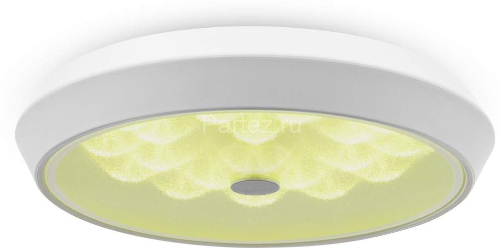 Потолочный светильник Freya FR10012CL-L24W